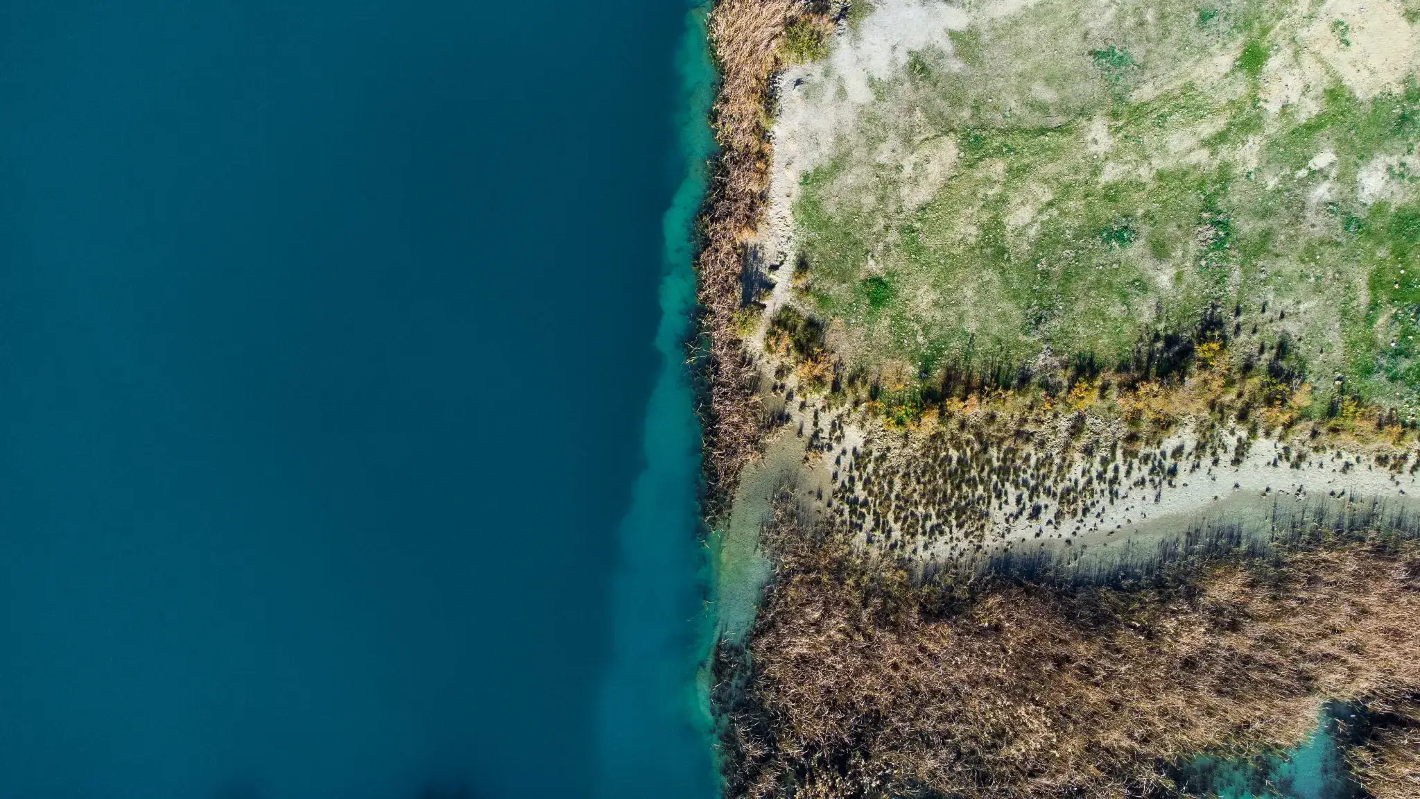 How to Adopt AI in HR Responsibly - Data Foundations Aerial view of deep blue water meeting a pale lakeshore and shallow-water vegetation, representing the data foundations that support responsible AI in HR.