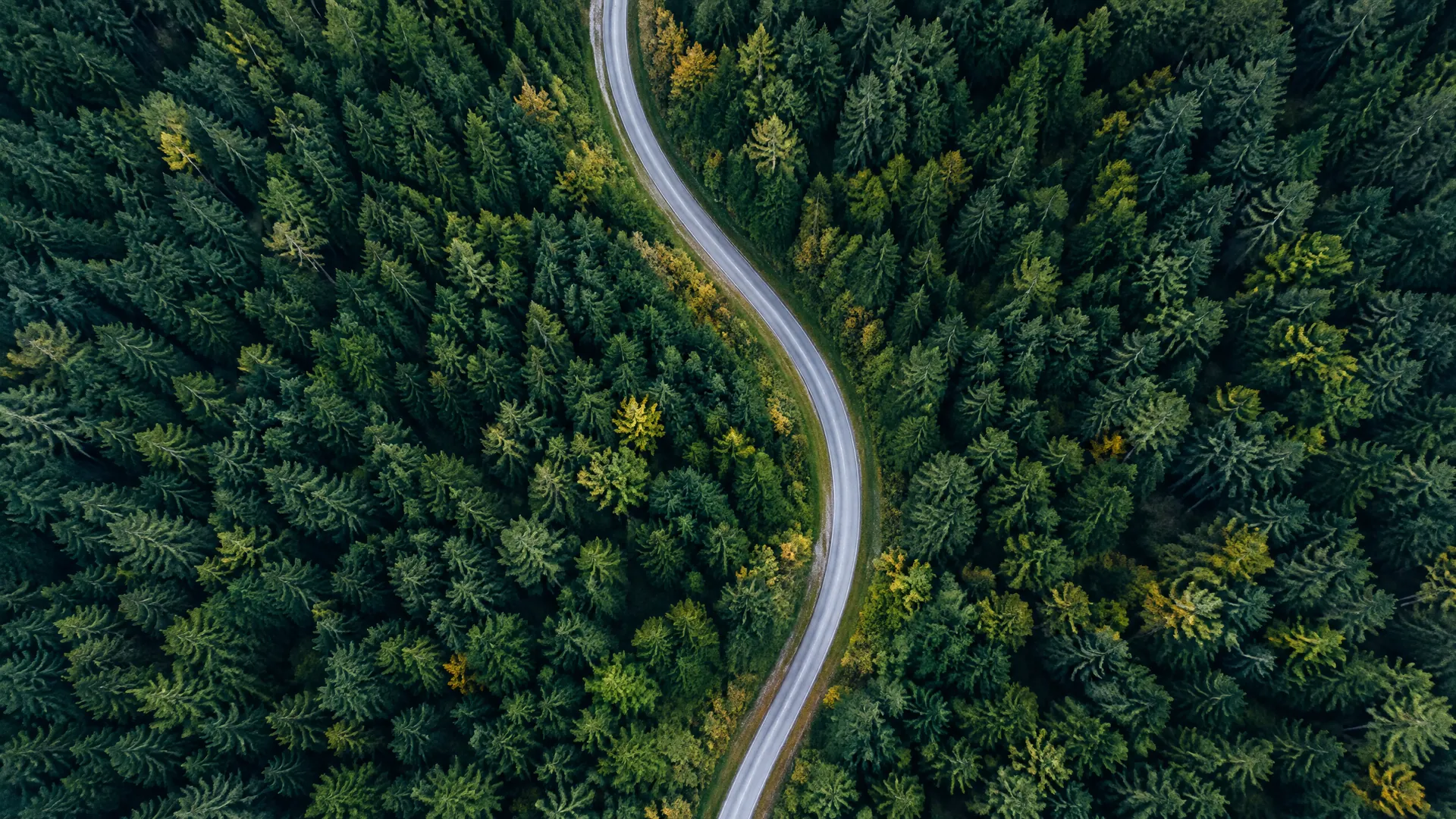 Career Conversations That Retain High Performers