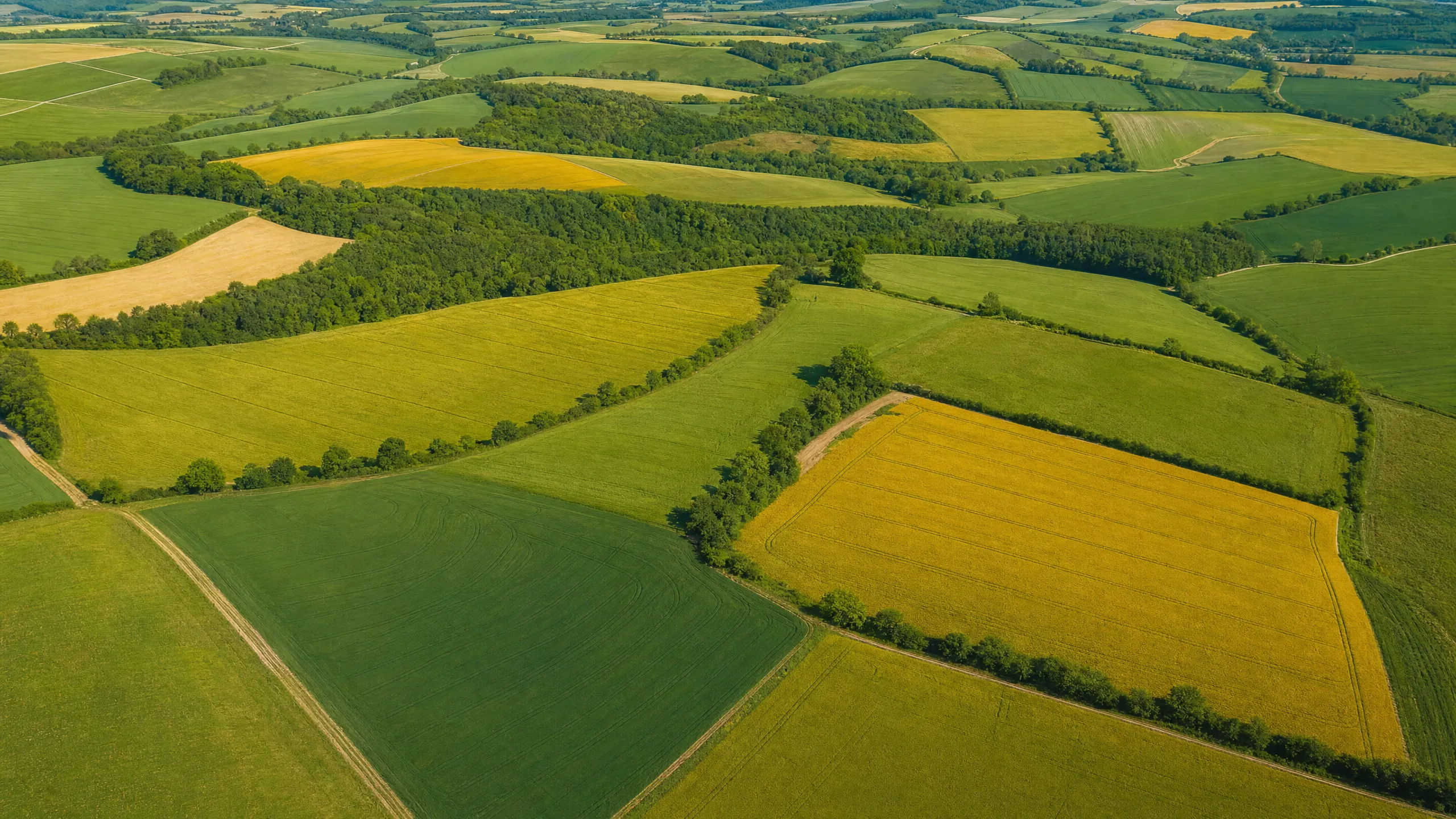 Promotion and Deployment: How to Maximise Value Through Role Fit