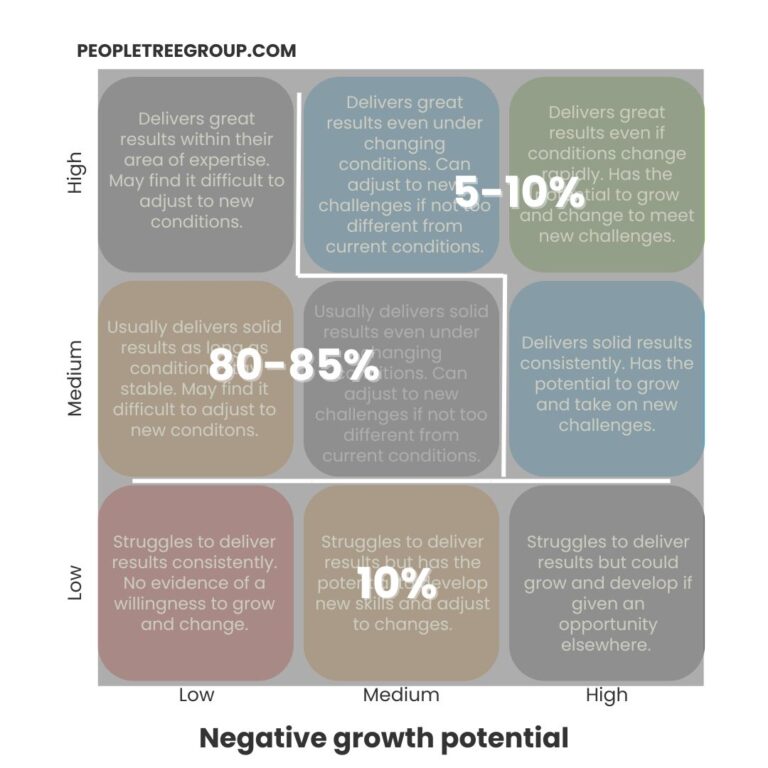 9 Cell Grid showing talent distribution recommendations for negative growth environments, with 5-10% of leaders in high potential and 80-85% in medium potential categories.