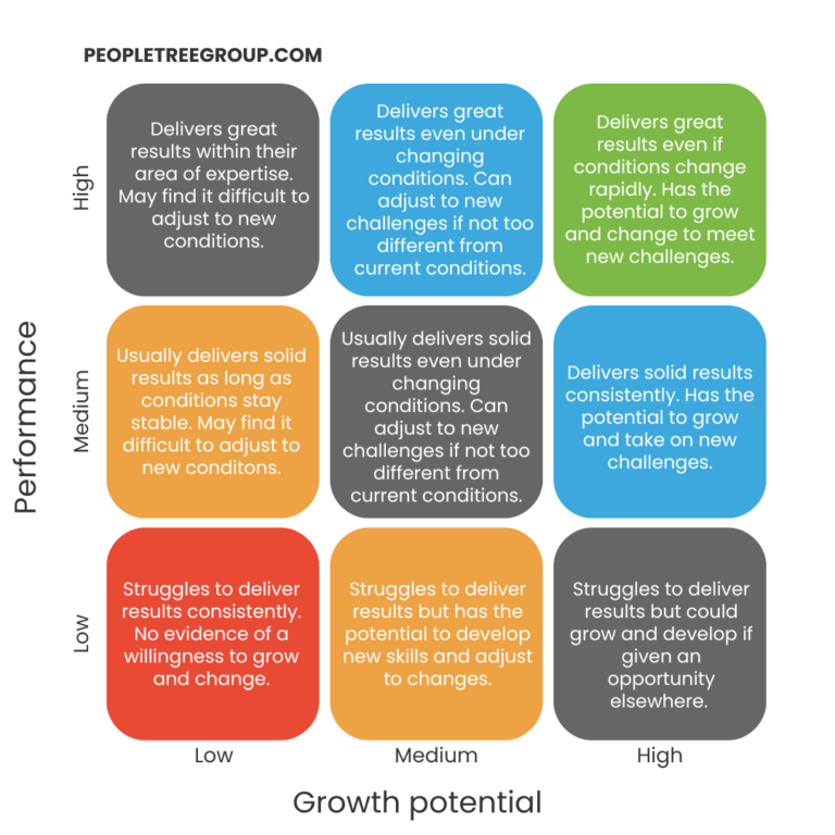 9 Cell Grid definition illustrating employee performance and growth potential with nine cells representing various levels of performance and potential, from low to high.