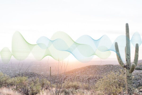 Desert ecosystem at sunset with green and blue abstract wave patterns in the sky.