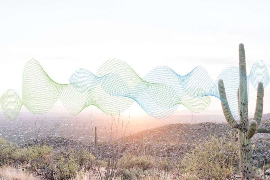 Desert ecosystem at sunset with green and blue abstract wave patterns in the sky.